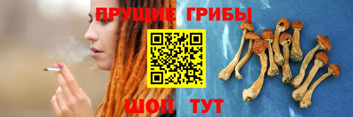 Янаул  Псилоцибиновые грибы мухоморы  Вход с VPN 